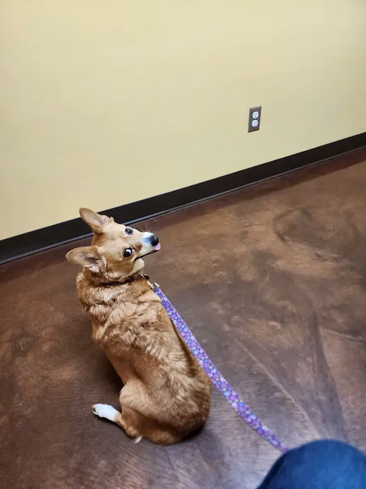 Oak Hill Animal Hospital Picture 3