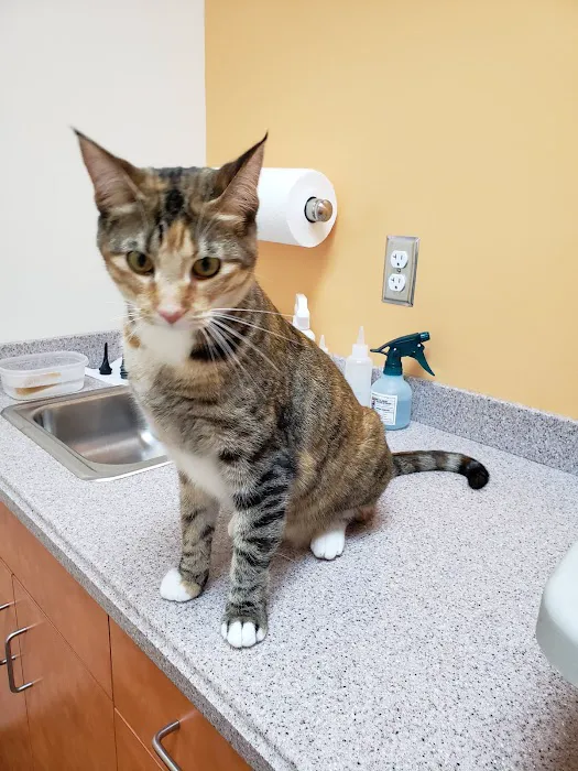 Oak Hill Animal Hospital Picture 4