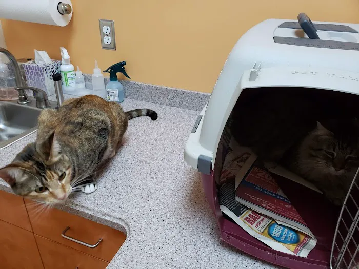 Oak Hill Animal Hospital Picture 5