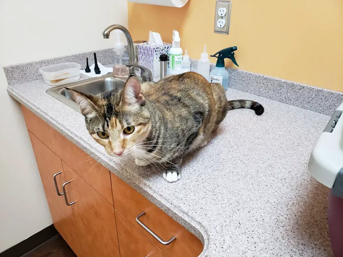 Oak Hill Animal Hospital Picture 7