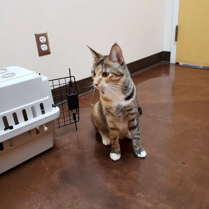 Oak Hill Animal Hospital Picture 6