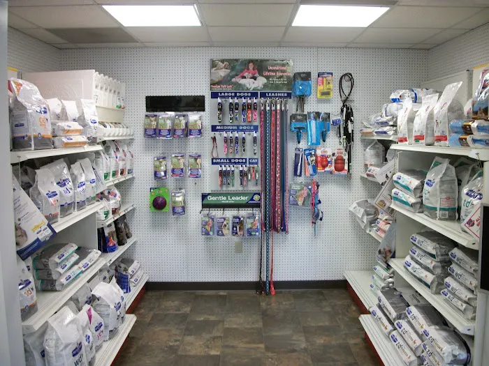 East Side Animal Hospital, A Thrive Pet Healthcare Partner Picture 3
