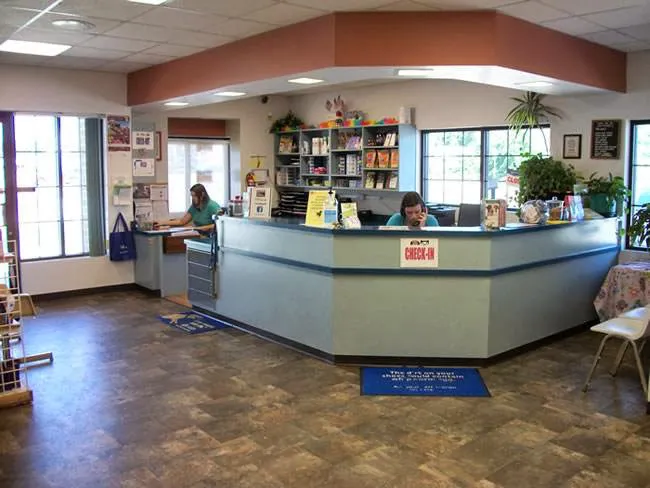 East Side Animal Hospital, A Thrive Pet Healthcare Partner Picture 4