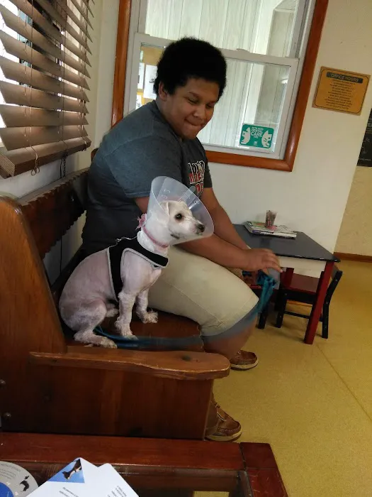 All Breed Pet Care LLC Picture 6
