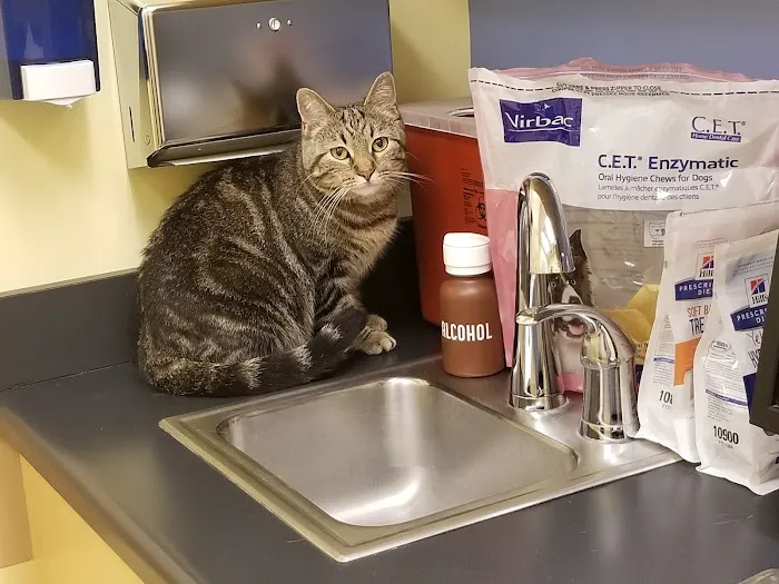U-Vet Animal Clinic Picture 8