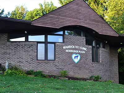 Warrick Veterinary Clinic Preventative Care Center Picture 1