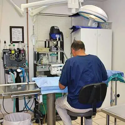 Warrick Veterinary Clinic - Newburgh Plaza Picture 4