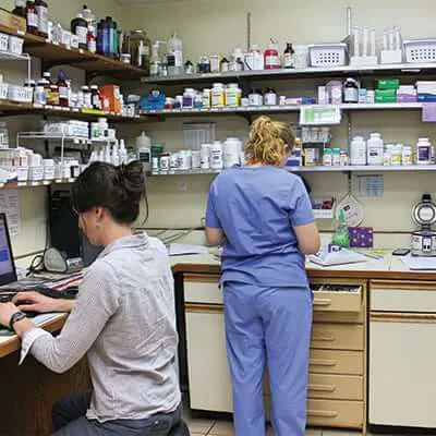 Warrick Veterinary Clinic - Newburgh Plaza Picture 6