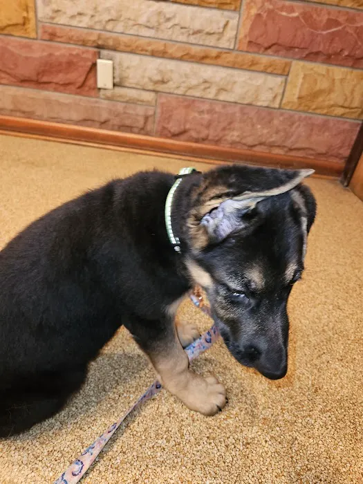 VCA Parkdale Animal Hospital Picture 2