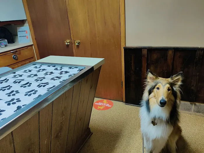 VCA Parkdale Animal Hospital Picture 10