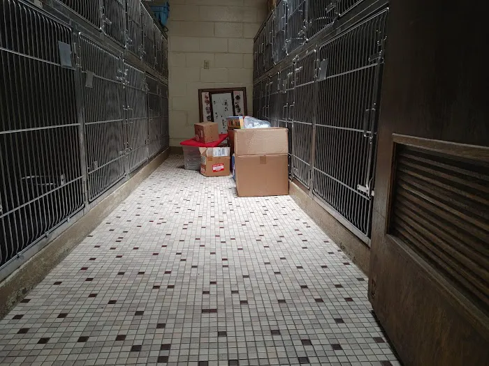 Chateau Dog & Cat Hospital Picture 2