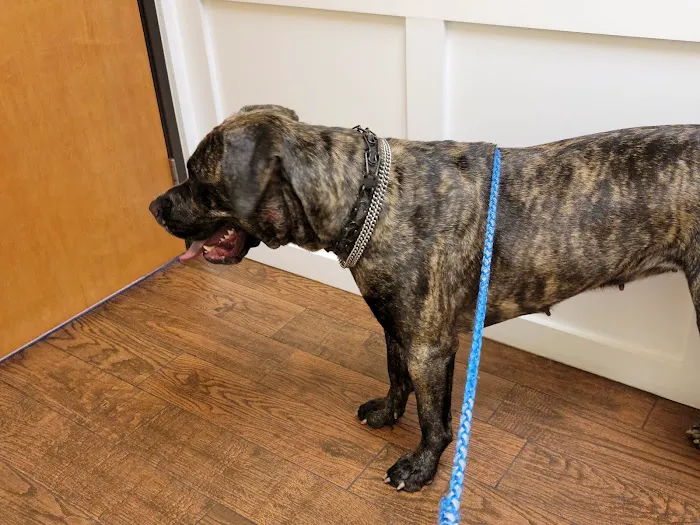 Grant County Veterinary Clinic Picture 1