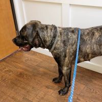 Grant County Veterinary Clinic ico