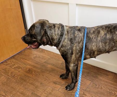 Grant County Veterinary Clinic