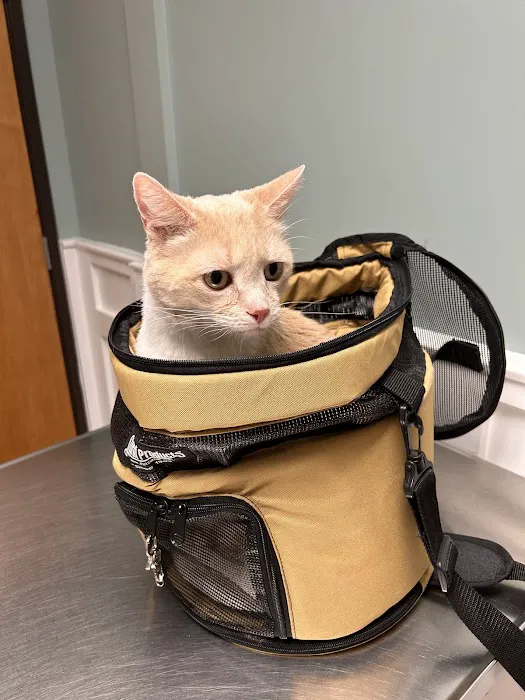 Grant County Veterinary Clinic Picture 4