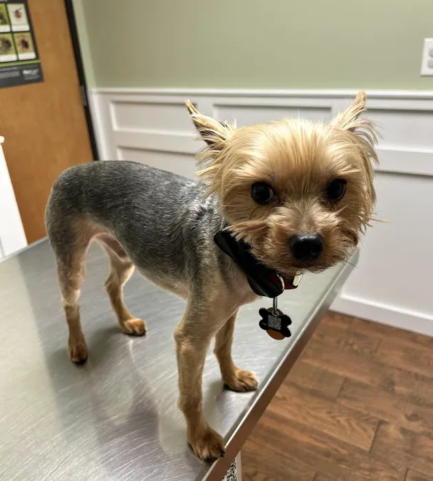 Grant County Veterinary Clinic Picture 5