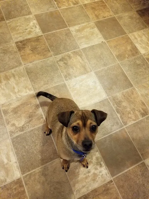 Kaskaskia Valley Animal Hospital Picture 1