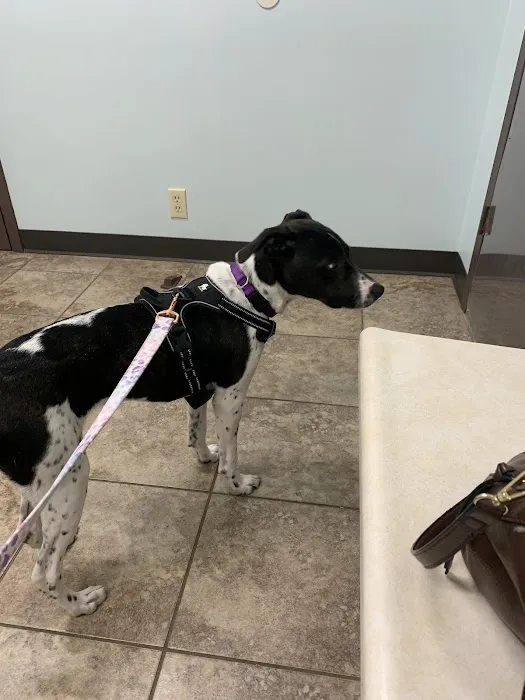 Kaskaskia Valley Animal Hospital Picture 5