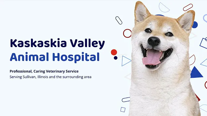 Kaskaskia Valley Animal Hospital Picture 10