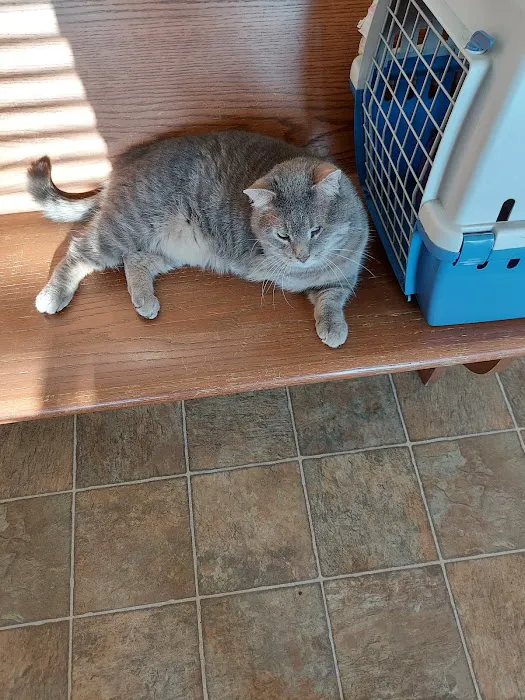Arthur Veterinary Clinic Picture 4