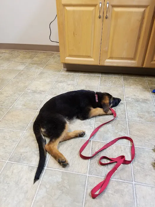 Arthur Veterinary Clinic Picture 2
