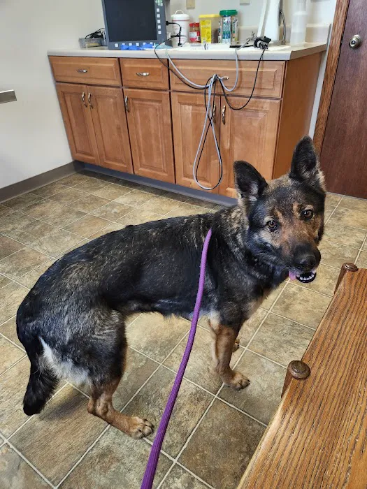 Arthur Veterinary Clinic Picture 8