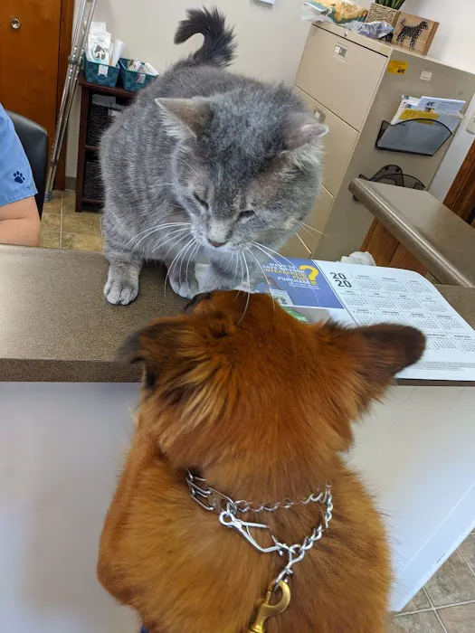 Arthur Veterinary Clinic Picture 7