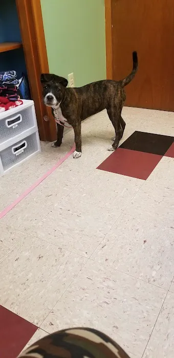 Okaw Veterinary Clinic Picture 5