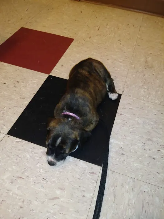 Okaw Veterinary Clinic Picture 2