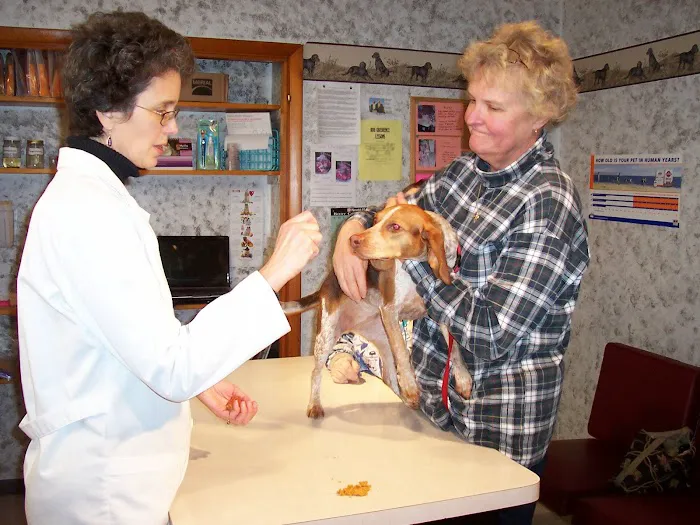 Okaw Veterinary Clinic Picture 10