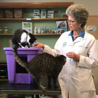 Marx Veterinary Services: Marx Paul C DVM ico