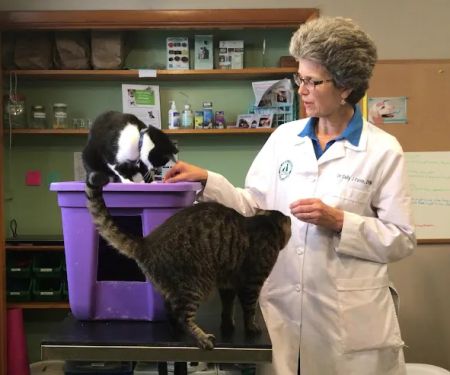 Marx Veterinary Services: Marx Paul C DVM