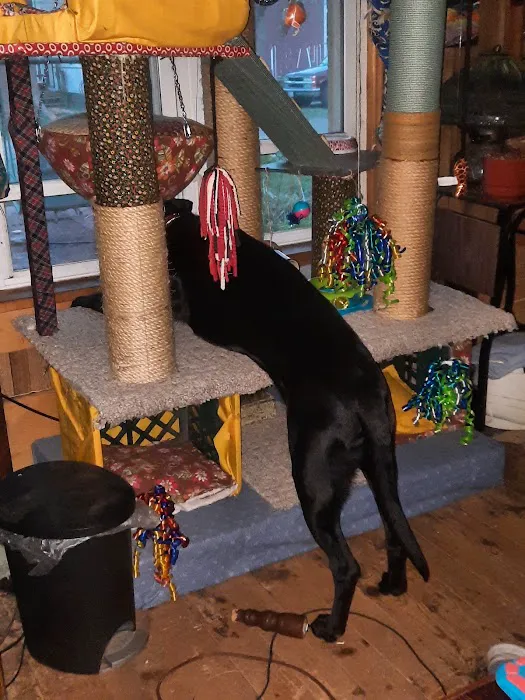 Graham Veterinary Clinic Picture 3