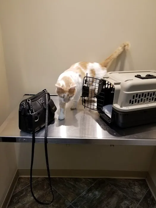 Graham Veterinary Clinic Picture 8