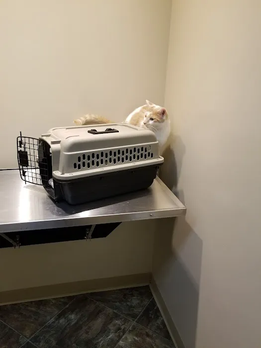 Graham Veterinary Clinic Picture 7