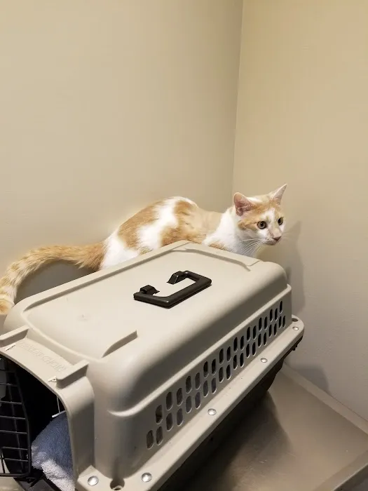 Graham Veterinary Clinic Picture 6