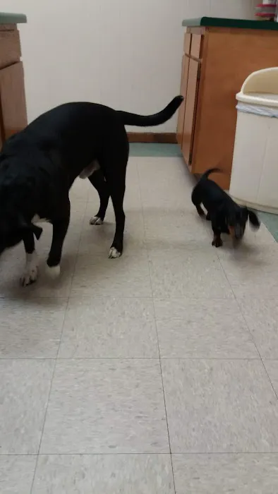 North Judson San Pierre Veterinary Picture 1
