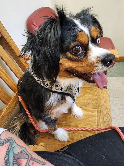 North Judson San Pierre Veterinary Picture 4
