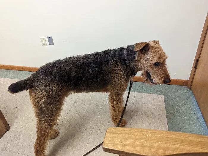 North Judson San Pierre Veterinary Picture 10