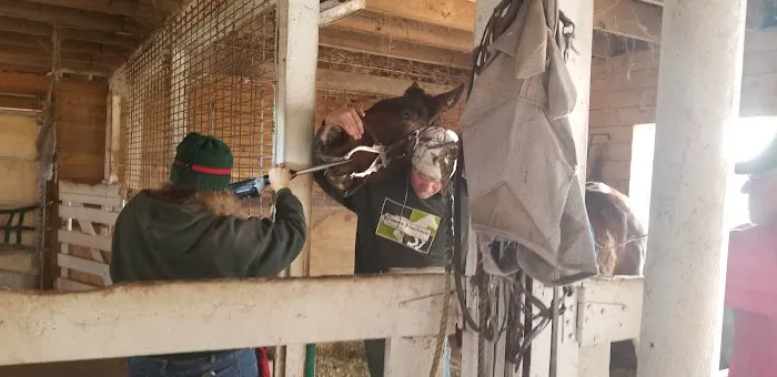 Greener Pastures Vet Clinic Picture 1