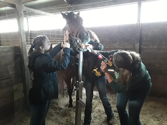 Greener Pastures Vet Clinic Picture 2