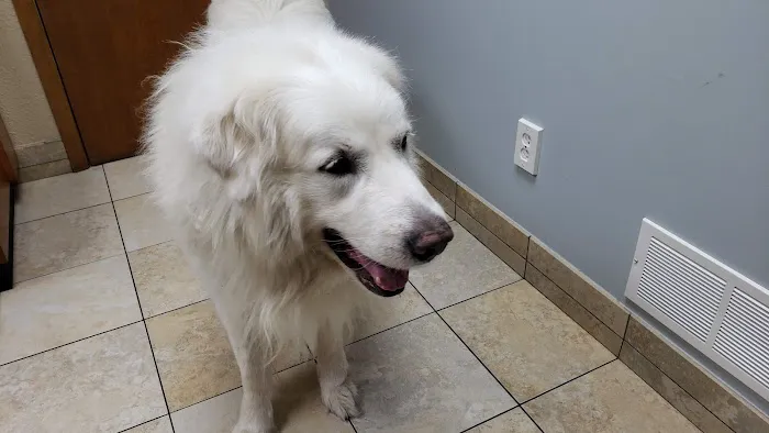 Hebron Animal Hospital Picture 1