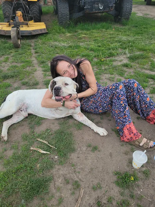 Hebron Animal Hospital Picture 5