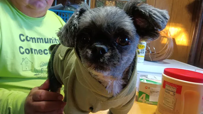 Hebron Animal Hospital Picture 8