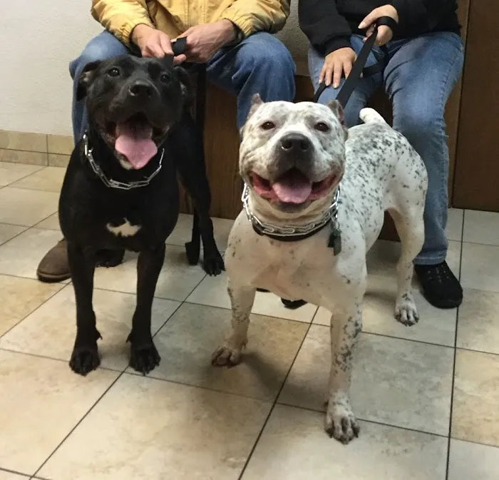 Hebron Animal Hospital Picture 10