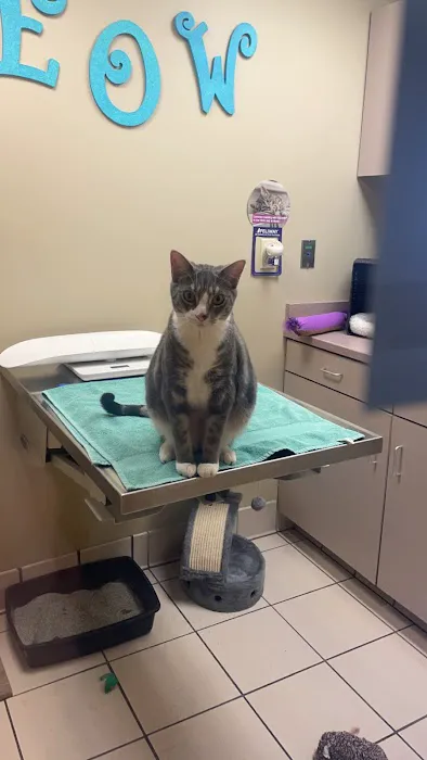 Peotone Animal Hospital Picture 4