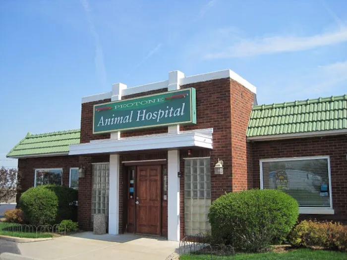 Peotone Animal Hospital Picture 9