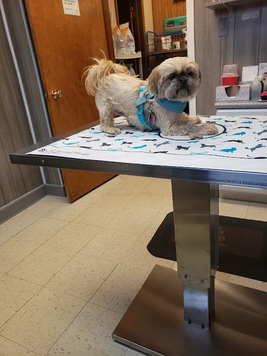 Beecher Veterinary Clinic Picture 6
