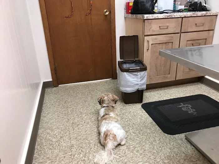 Beecher Veterinary Clinic Picture 8