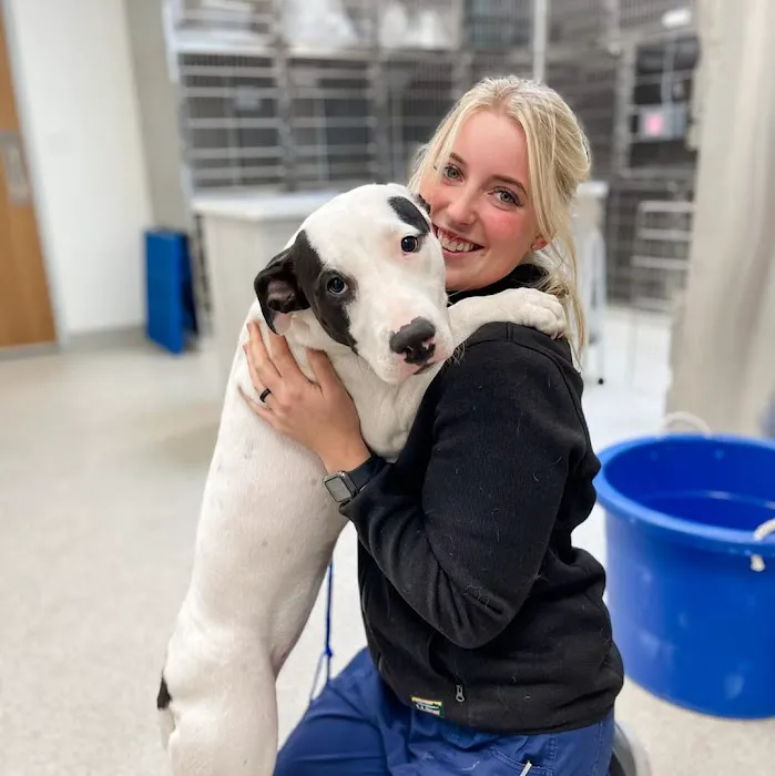 Coyne Veterinary Center - Crown Point Picture 7